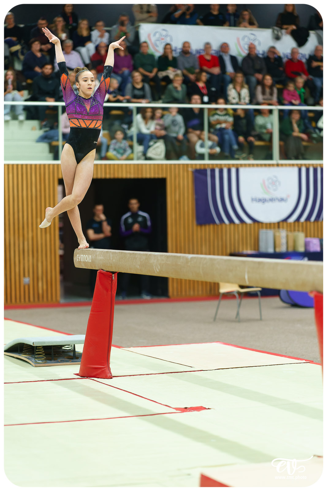 TOP 12 HAGUENAU - LYON